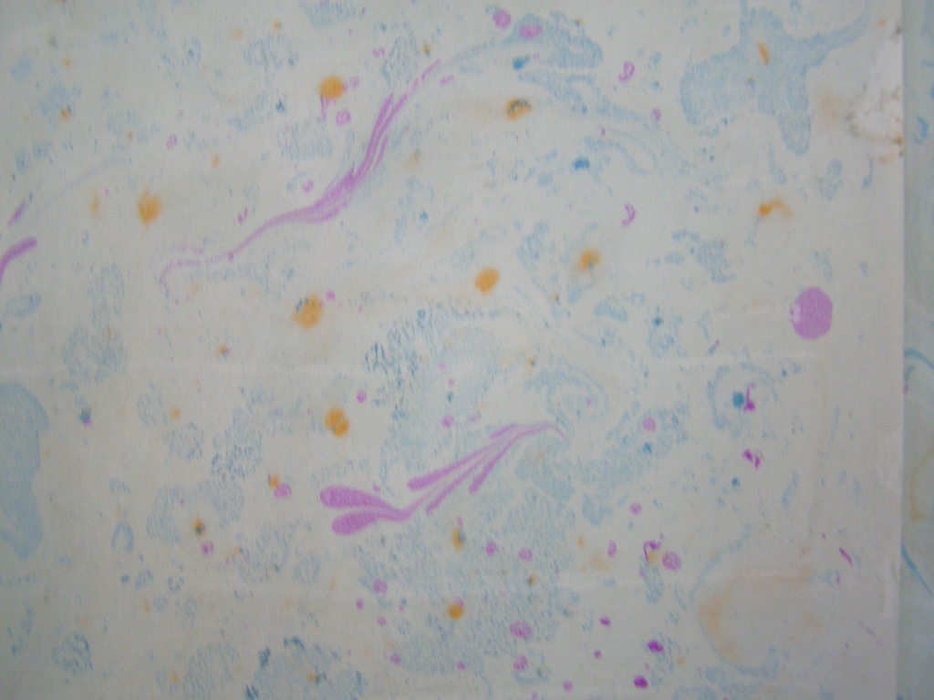 P9288544.JPG