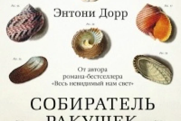 Библиотека получила новые книги