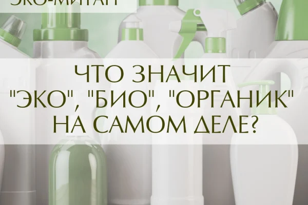 ЭКО-митап