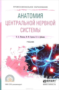Фонсова Н. А., Анатомия центральной нервной системы