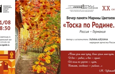 ДЦ 2006-2013
